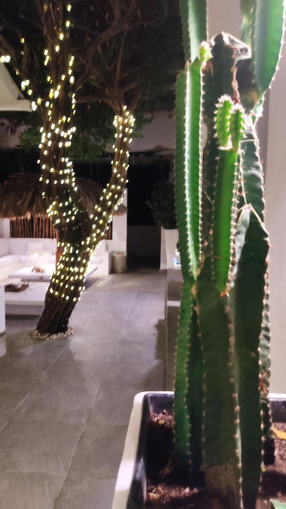 Rincon Del Mar Veleros Hotel San Onofre Eksteriør billede