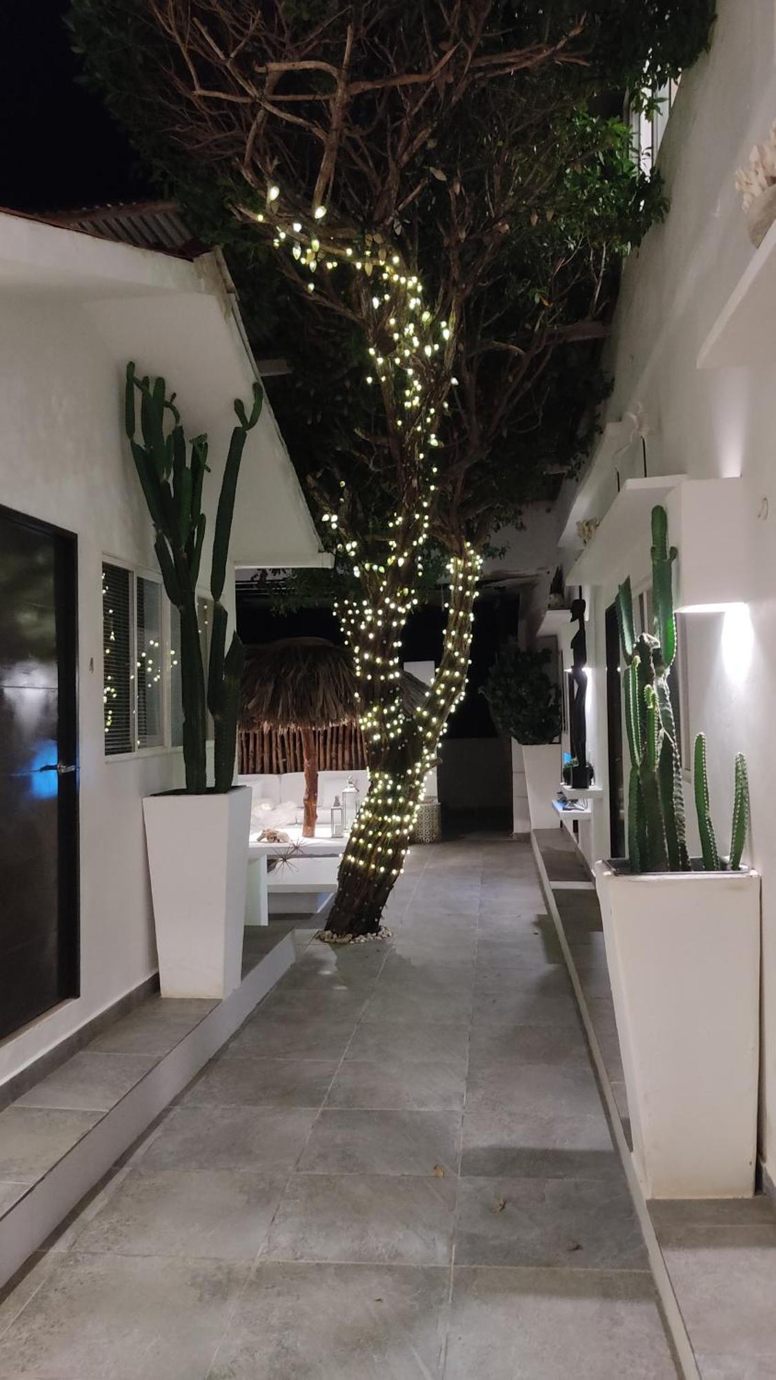 Rincon Del Mar Veleros Hotel San Onofre Eksteriør billede